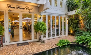 Fern Forest Cafe, brunch, Chiang Mai