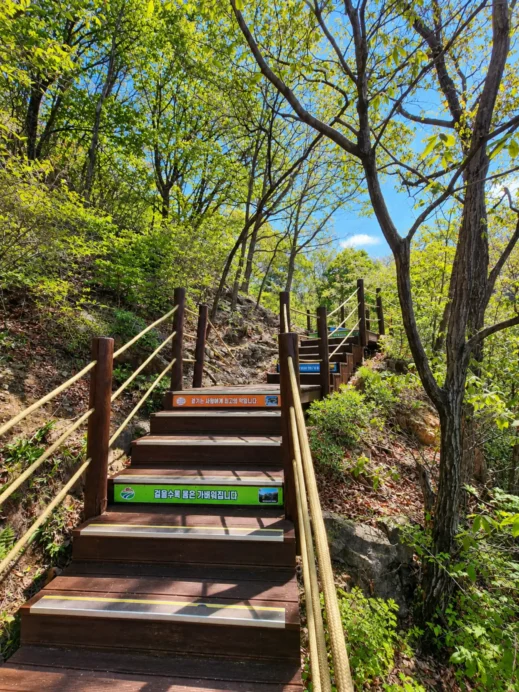 Geochand Udusan Suspension Bridge, steps