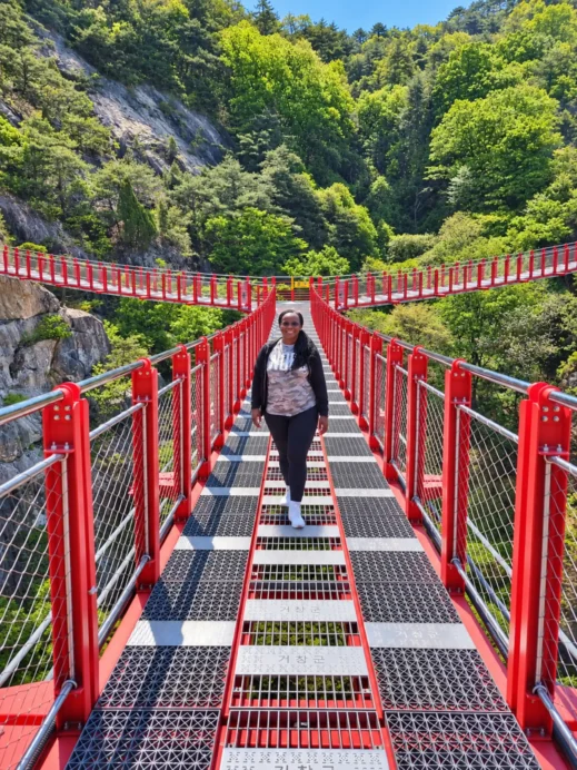 Geochand Udusan Suspension Bridge, y-Stacey