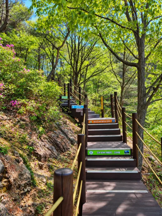 Geochand Udusan Suspension Bridge1