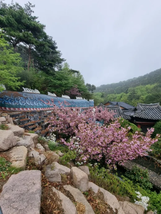 Pohang, Chilpodaewonsa Temple, dragon scales