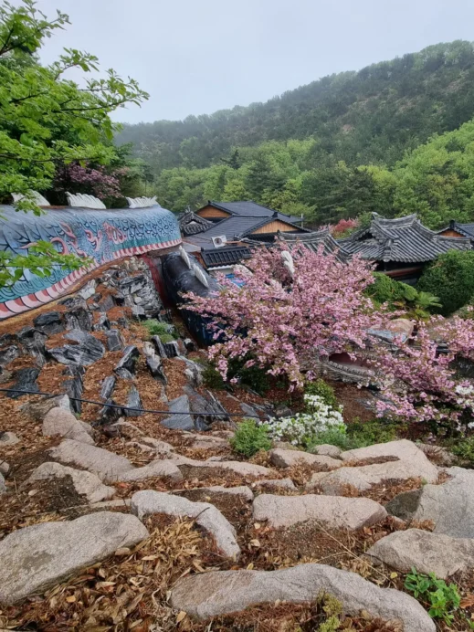 Pohang, Chilpodaewonsa Temple, dragon view