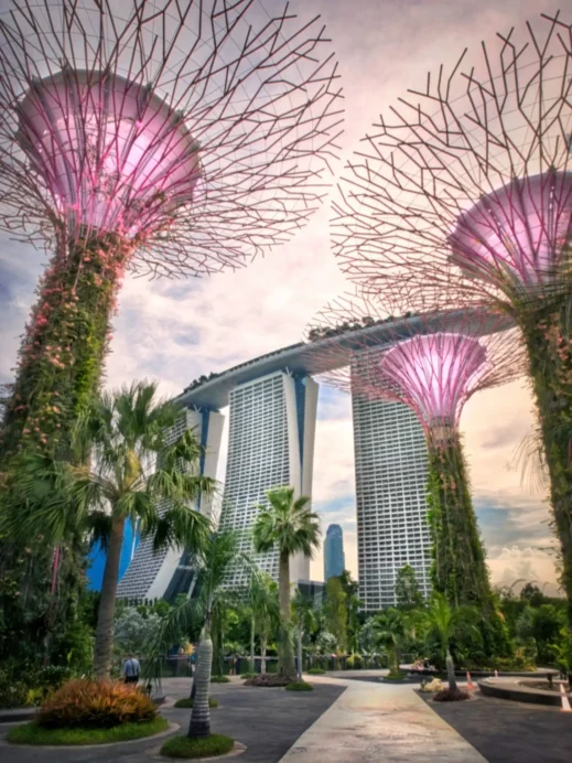 Singapore, purple trees, Marina Bay Sands
