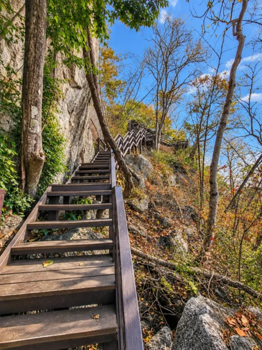 Wat Chalermprakiat, Stairway Through Autumn Woods